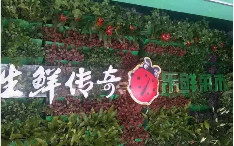 速速圍觀！誰敢與樂城團(tuán)隊(duì)這樣正面PK？
